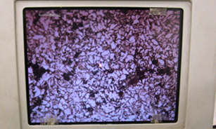 Service Image 3